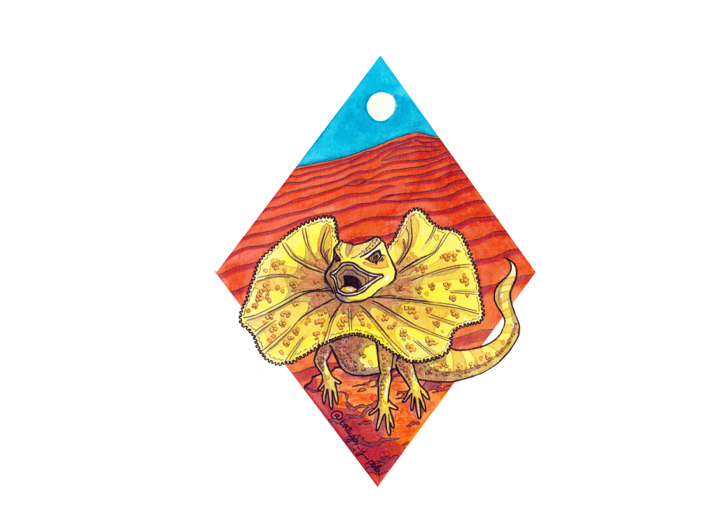 Bière Photovolt' 33 cl