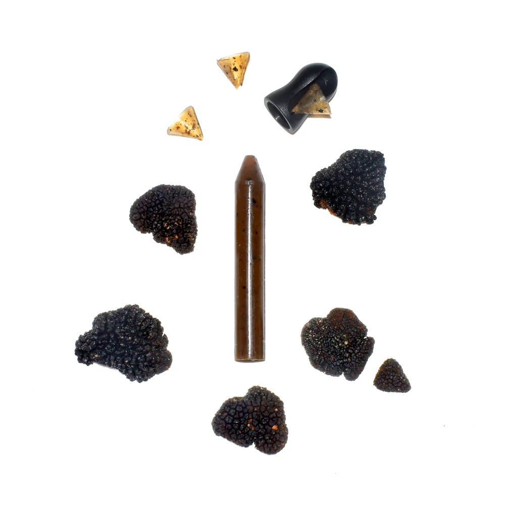 Recharge Truffe Noire